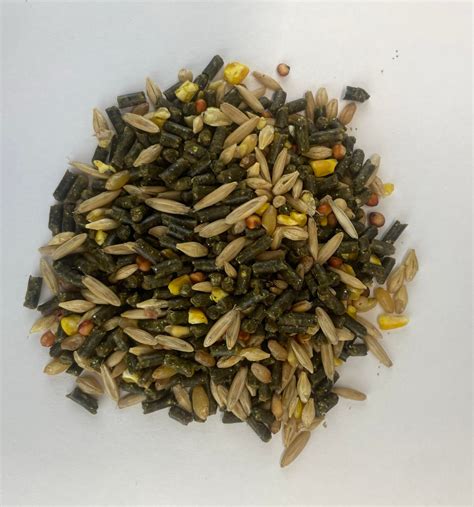 gamefowl conditioning feed|The Keep .